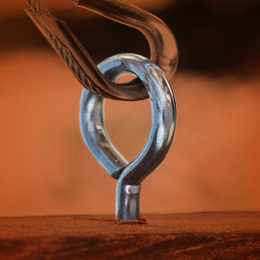 Stainless Steel Eye Bolts