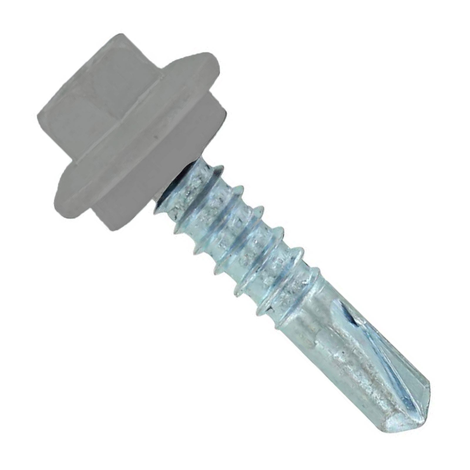 銀蠅です。① ST Fastening #12 X 1