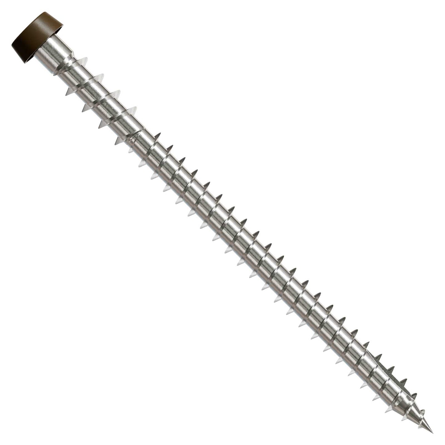 Metal screw with a brown head on a white background
