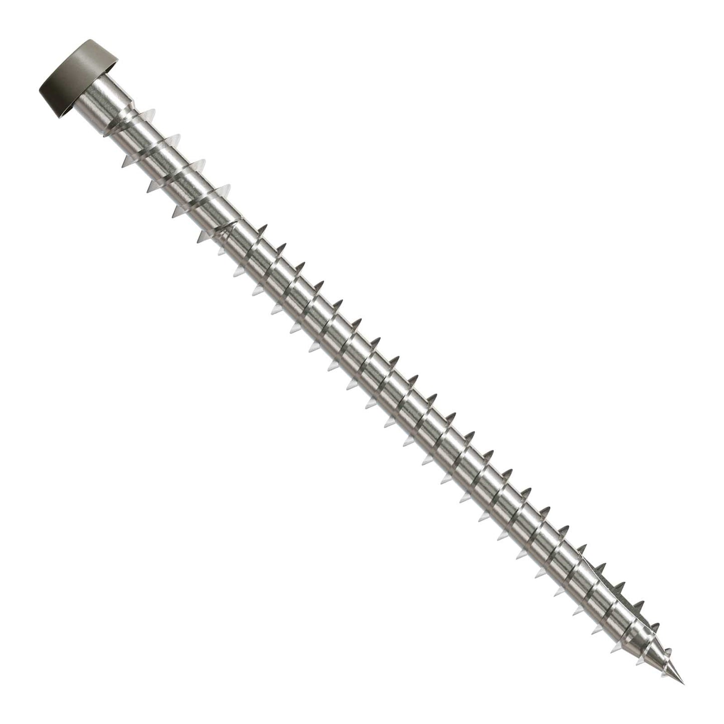 Metal screw with threading on a white background
