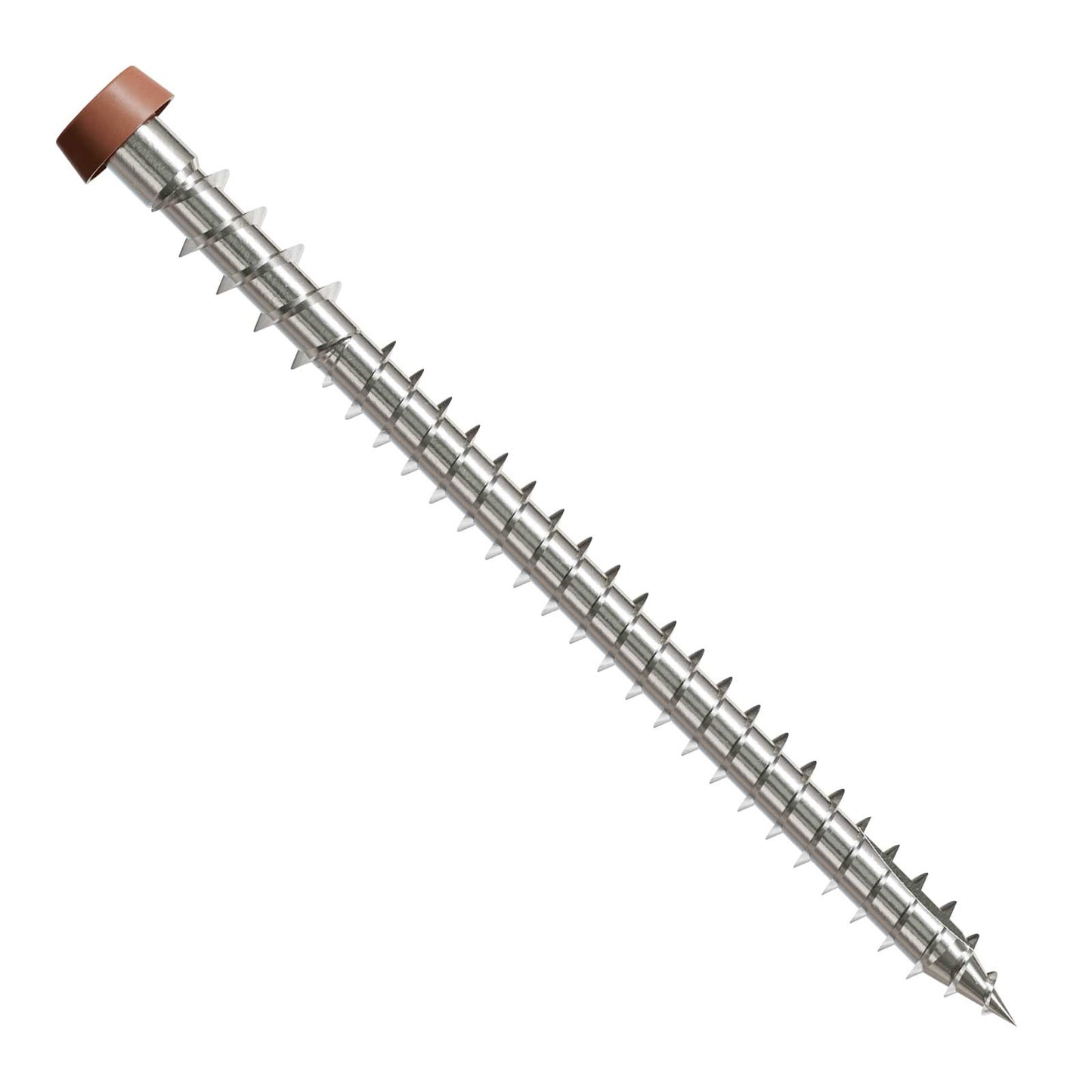Metal screw with a brown head on a white background