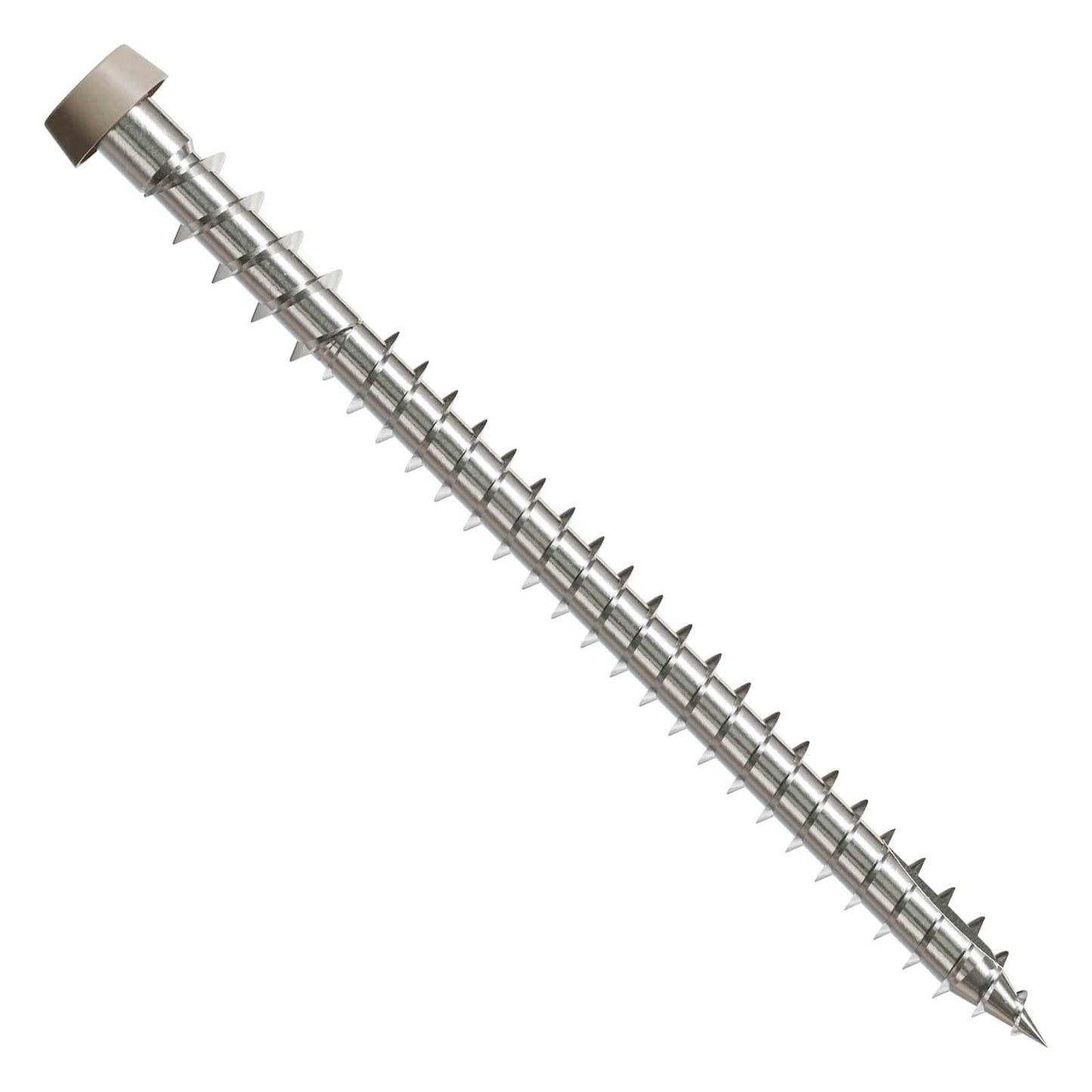 Metal screw with a threaded shaft and gray head on a white background