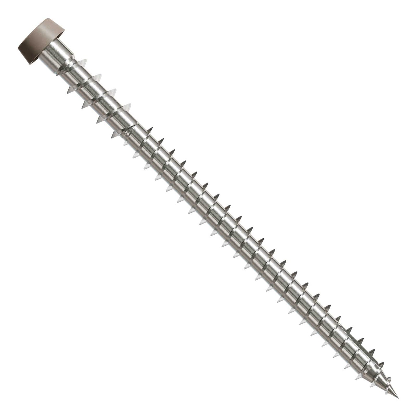 Metal screw with a threaded shaft and gray head on a white background