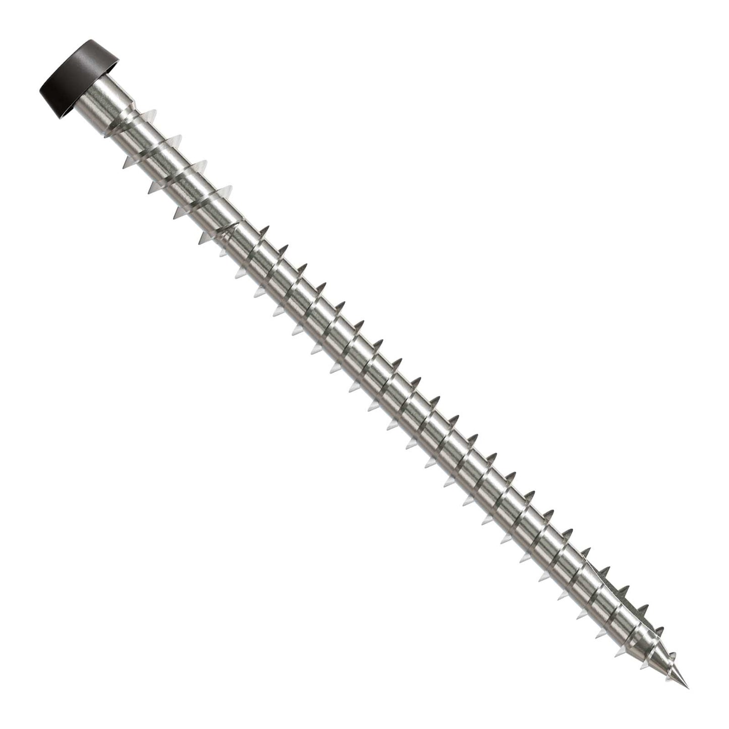 Metal screw with a gray head on a white background