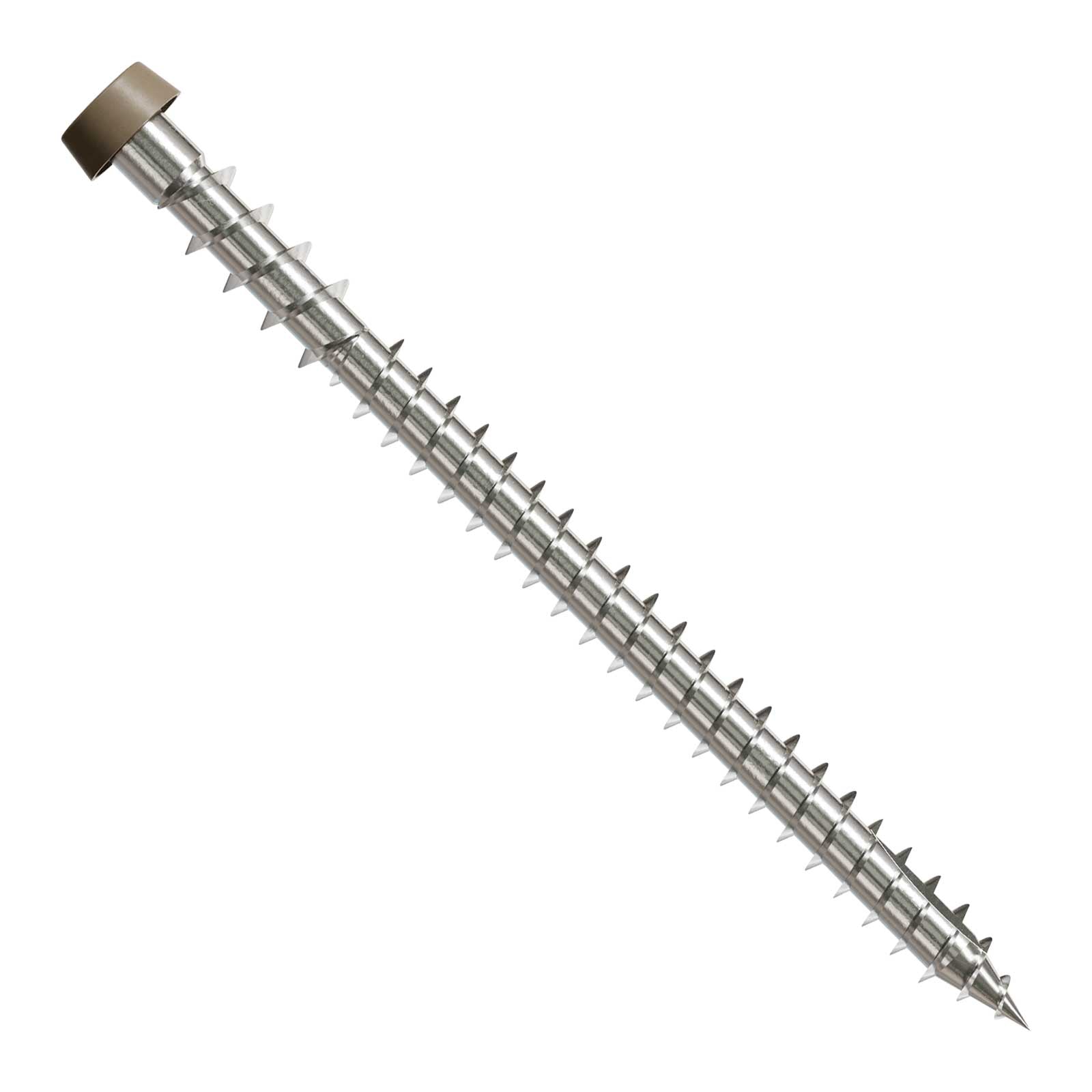 Metal screw with a threaded shaft and brown head on a white background