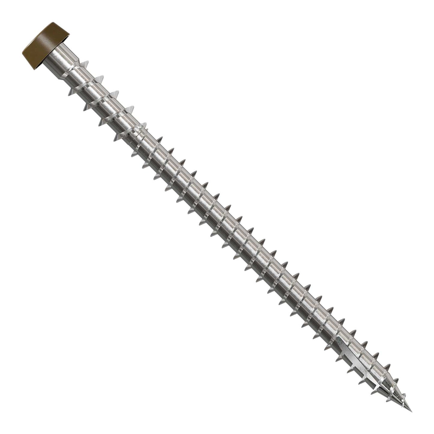 Metal screw with a brown head on a white background