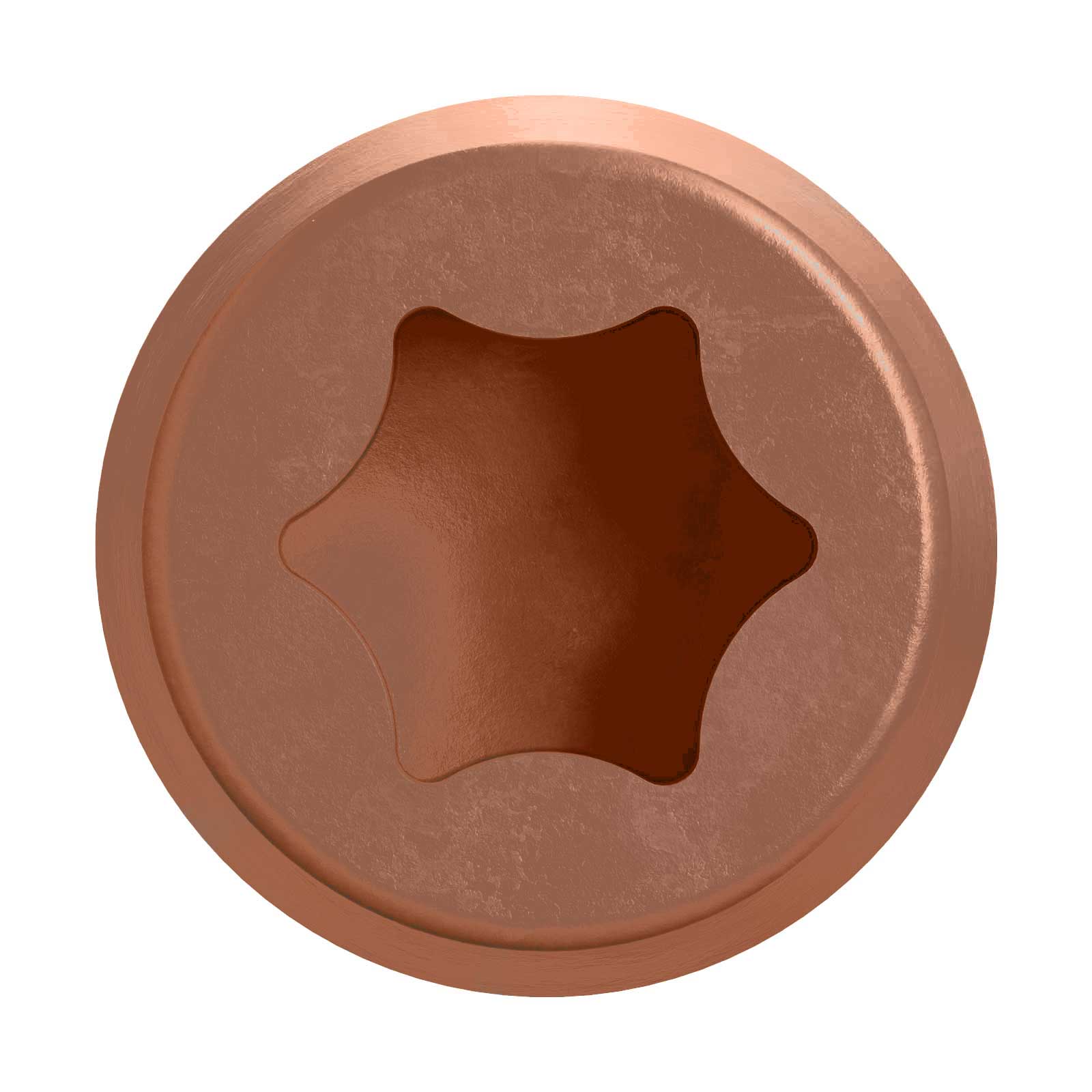 DCU composite screw - Tan 01