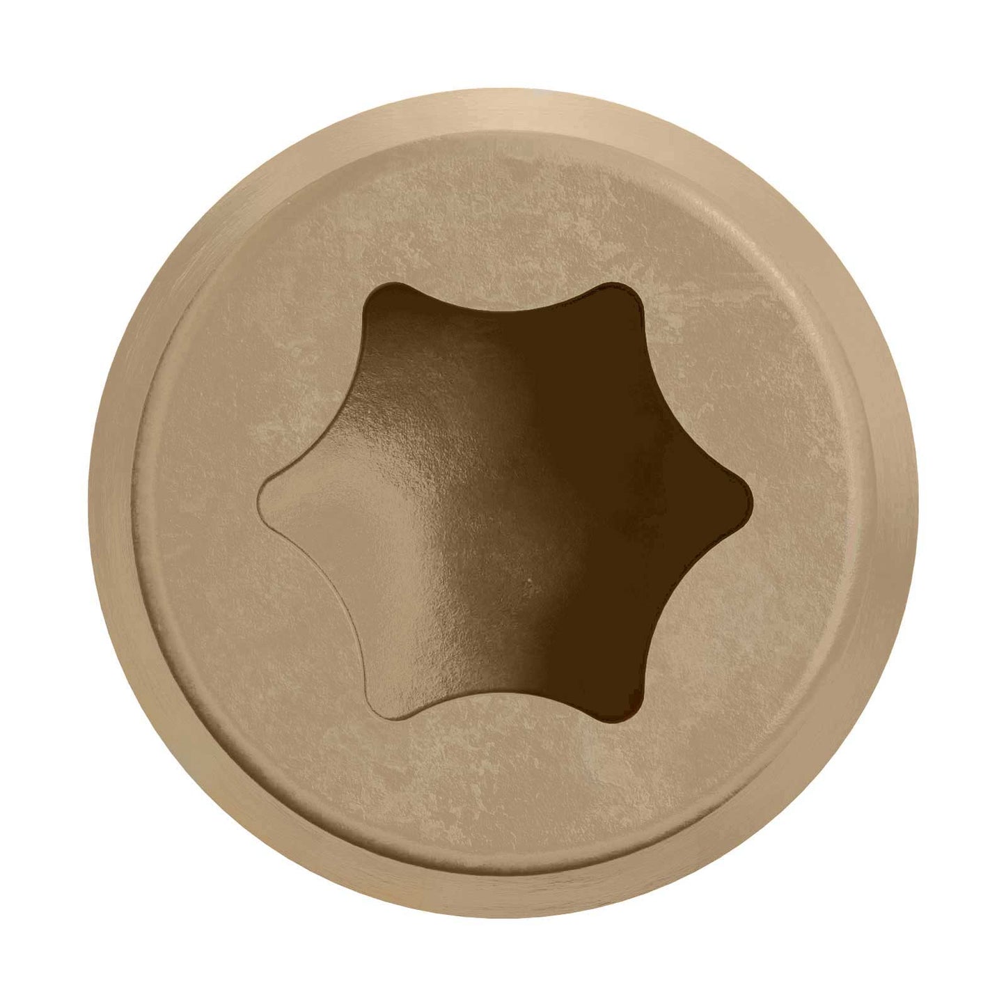 DCU composite screw - Tan 02