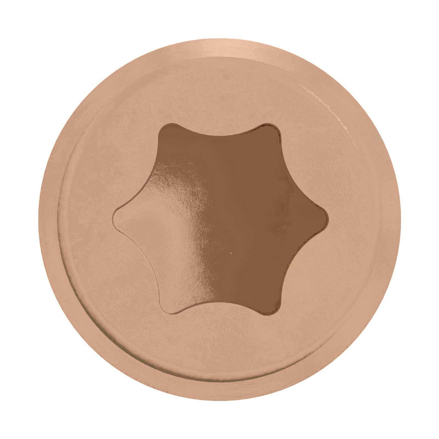 Drive type: T20 6-Lobe