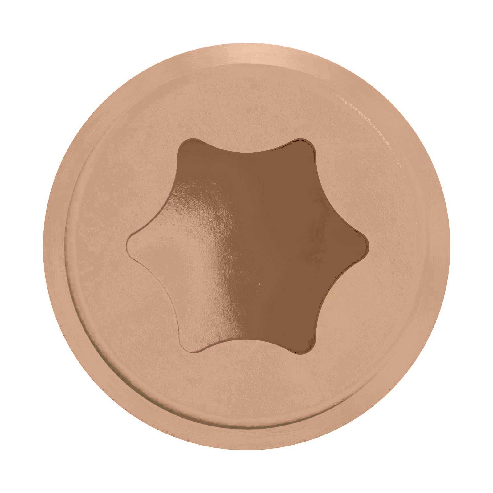 Drive type: T20 6-Lobe