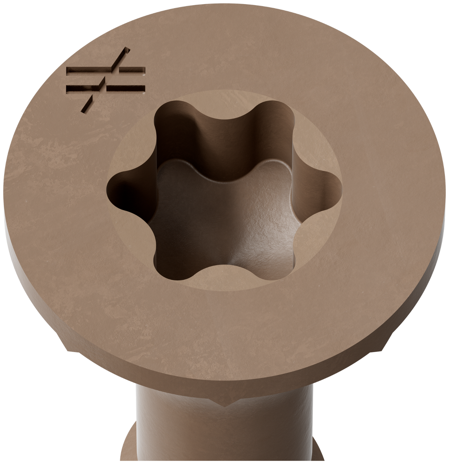Bronze screw with star-shaped center on a white background