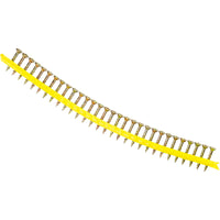 #8 x 1-1/4" Quik Drive WSC Wood Collated Screws, Yellow Zinc, Pkg 2500