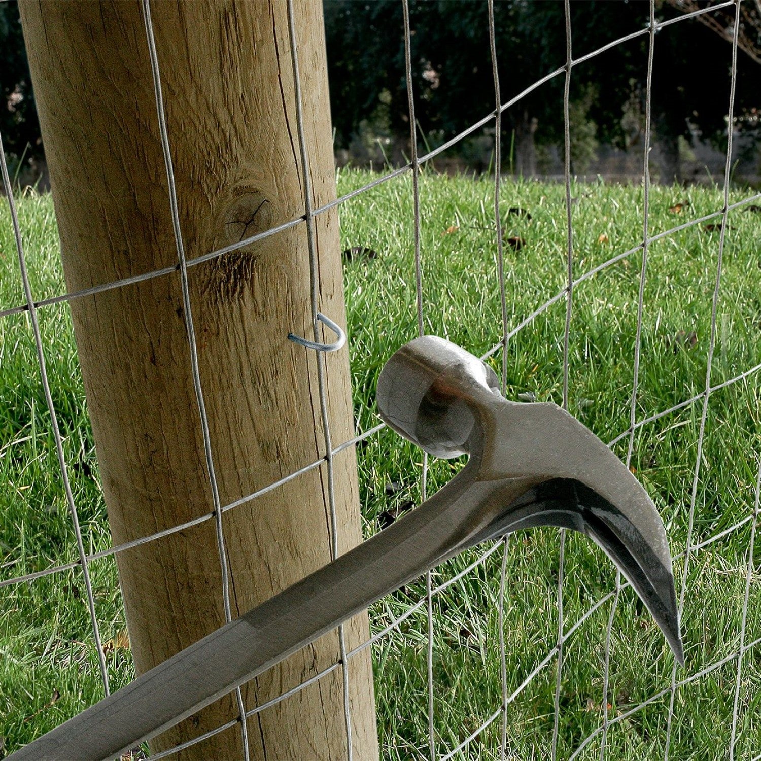 Fencing Staples Installed