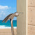 Finishing Nail - 316 Stainless Steel - Marine Installation