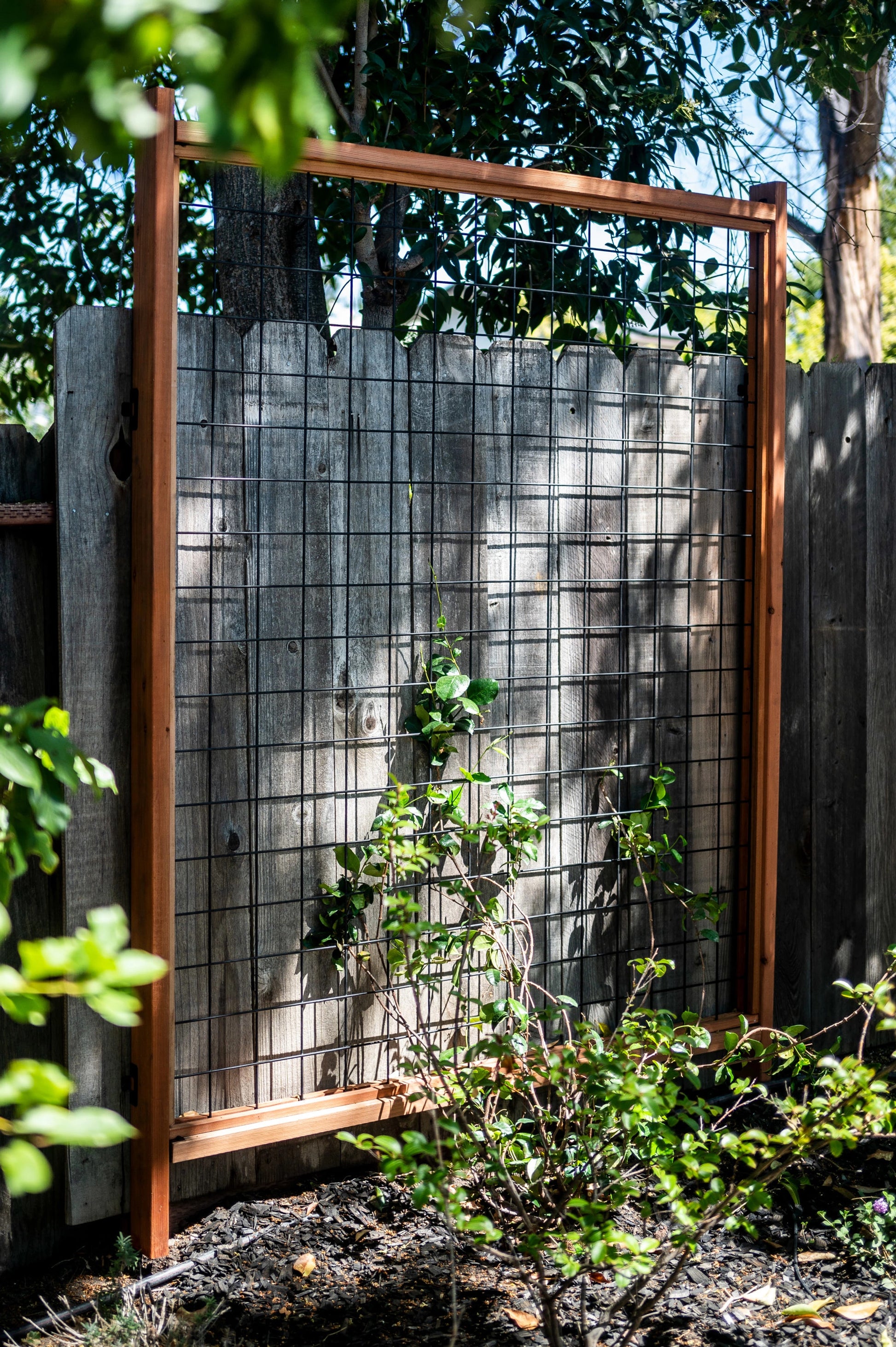 Simpson Fence Trellis Hardware