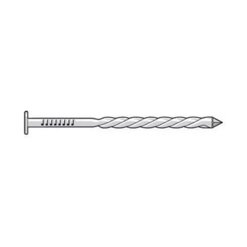 Spiral Shank Nail - 304 Stainless Common Nail Shown