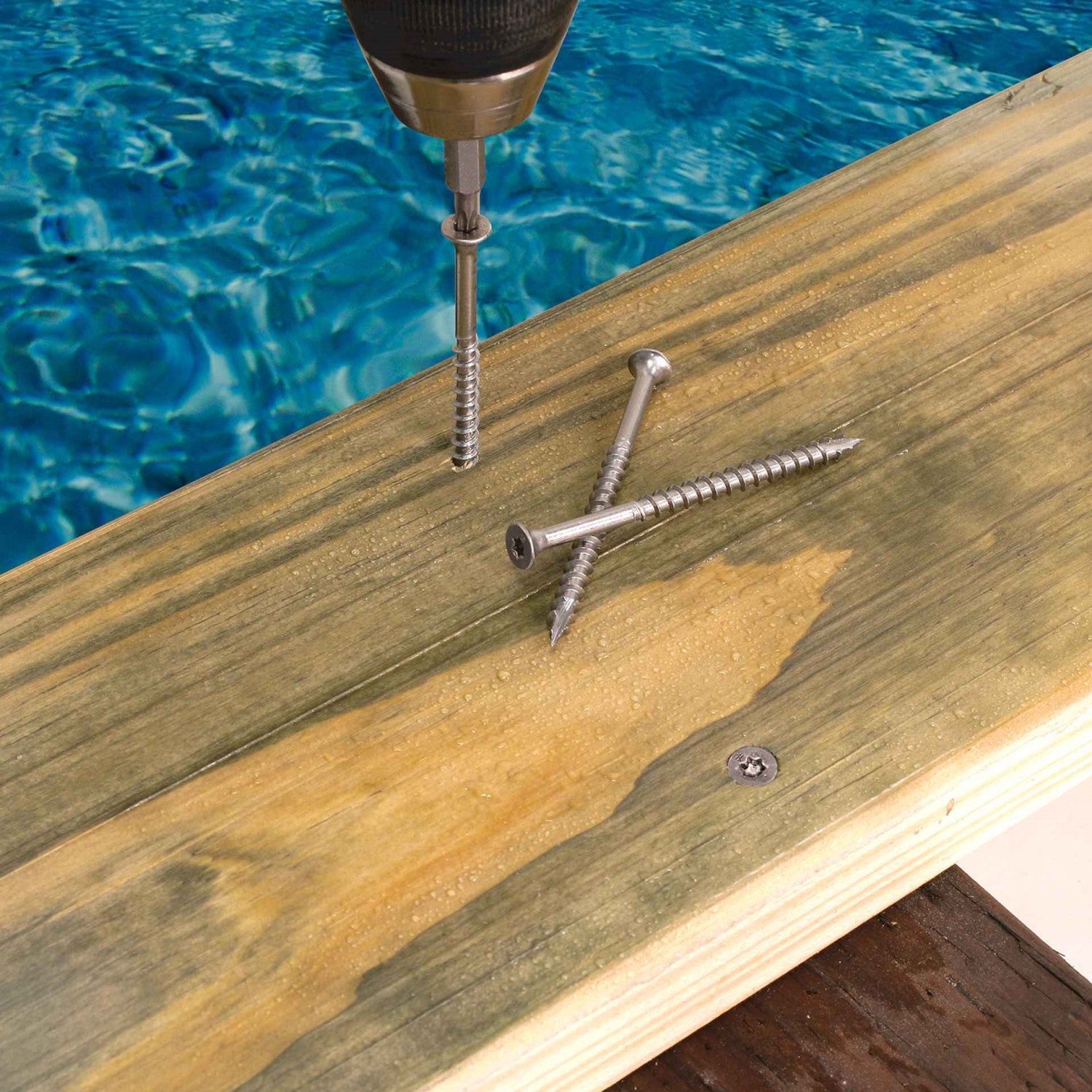 316 Stainless Steel Bugle-Head Wood Screw - 6 Lobe Drive Installation