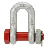 1/4" Crosby® Bolt Type Chain Shackle | G-2162 - 0.5 Ton primary image