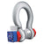 Straightpoint® 300 T Wireless Load Shackle - WLS300T
