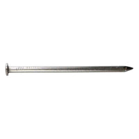 2 inch x 11 Gauge Smooth Shank Common Nail 304 Stainless Steel Pkg 144