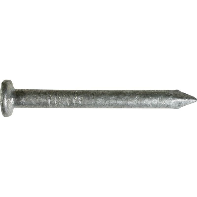 Exterior Hot Dipped Galvanized Common Framing Nail for General Constru –  JakeSales.com