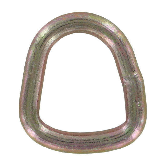 1" Wire D-Ring | 3,000 lbs. BS