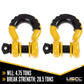 USCC 3/4" Drop-Forged Steel Screw Pin Anchor Shackles with Isolator and Washers – 4.75 Ton – 2 Pack