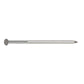 304 Stainless Steel Painted Siding Nail - Gray
