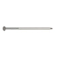 304 Stainless Steel Painted Siding Nail - Gray