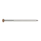304 Stainless Steel Painted Siding Nail - Sienna