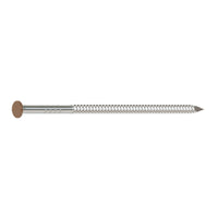 304 Stainless Steel Painted Siding Nail - Sienna