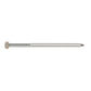 304 Stainless Steel Painted Siding Nail - Tan