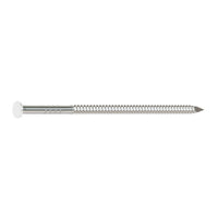 304 Stainless Steel Painted Siding Nail - White
