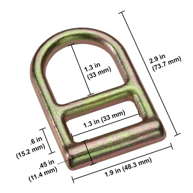 1" Belt Ring Double D-Ring | 6,500 lbs. BS
