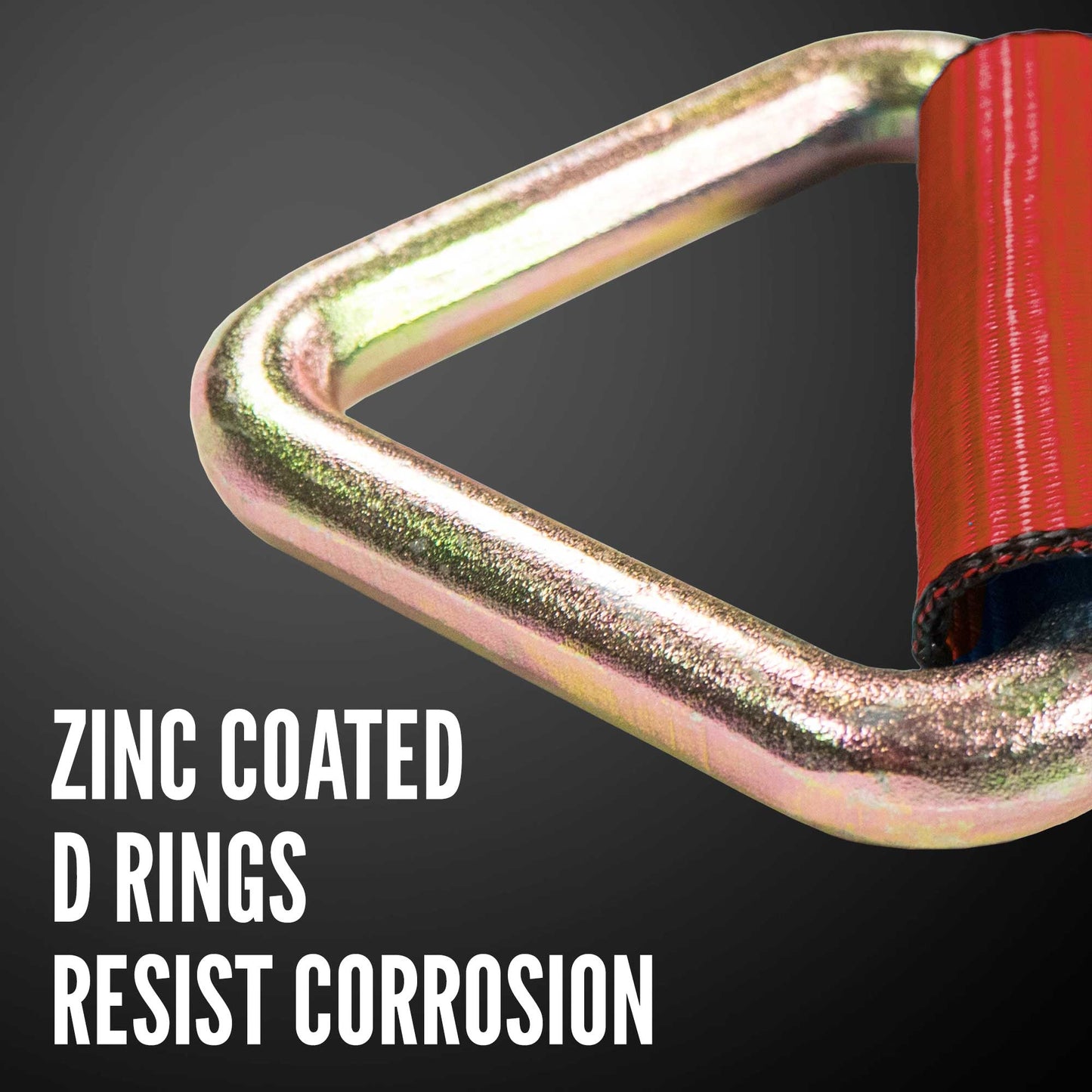 4" x 30' Winch Strap with D-Ring | Red