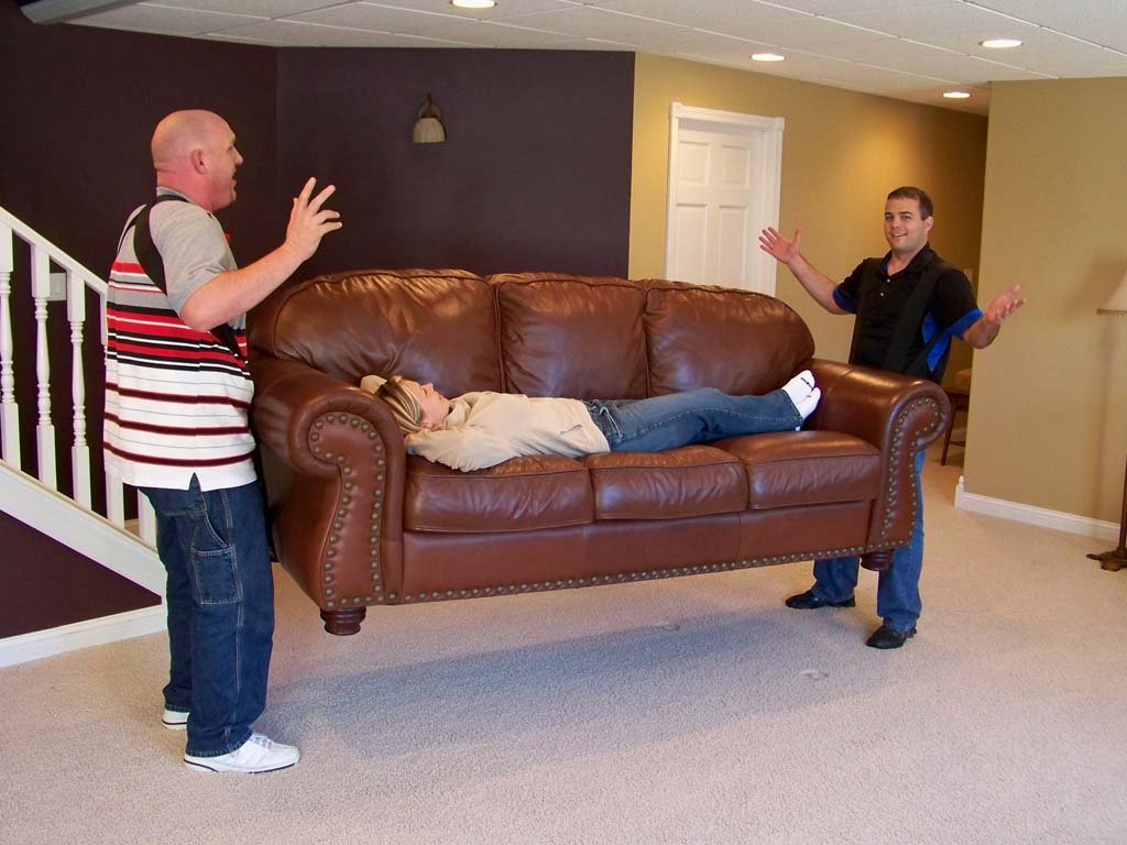 TeamStrap Furniture Moving Straps