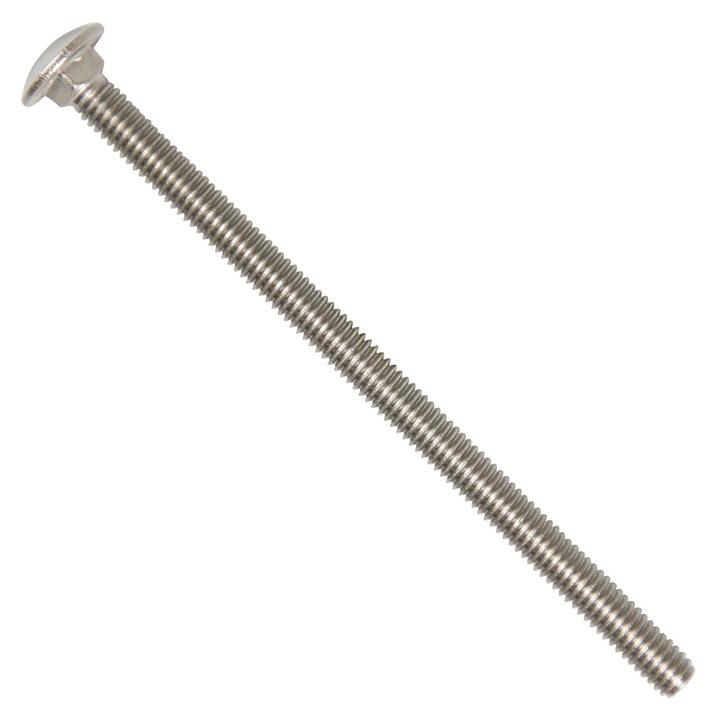 5/16"-18 x 5-1/2" Conquest Carriage Bolt - 304 Stainless Steel