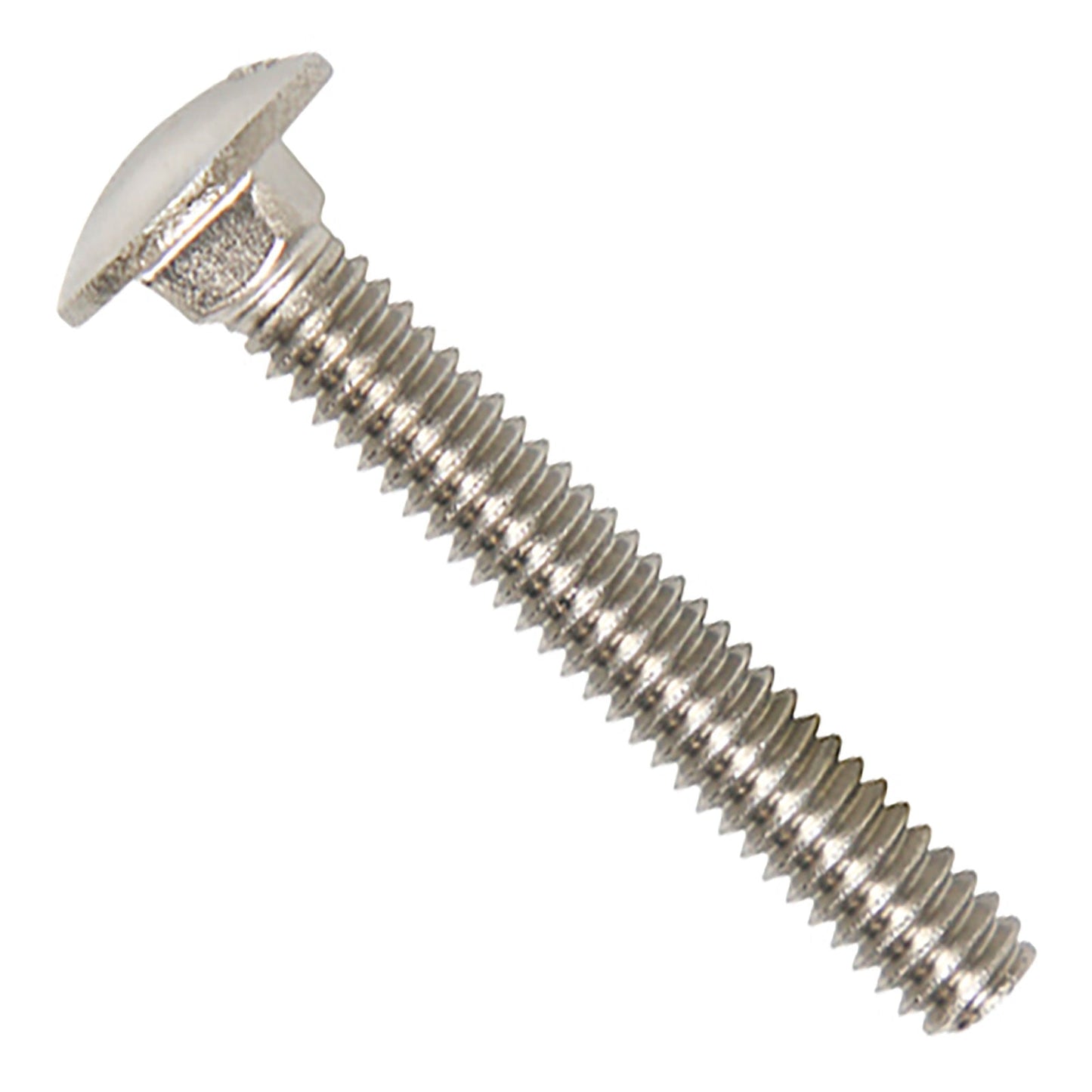 1/4"-20 x 1-3/4" Conquest Carriage Bolt - 316 Stainless Steel