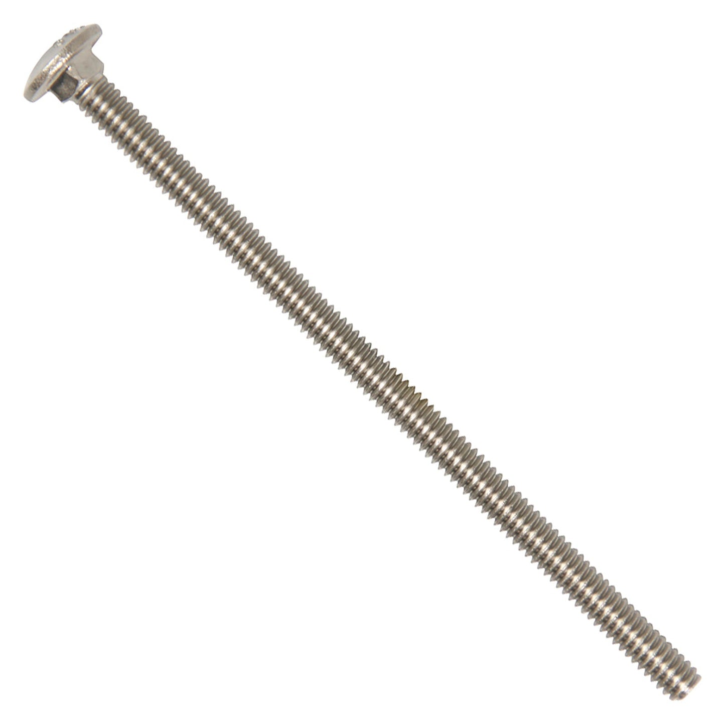 1/4"-20 x 5" Conquest Carriage Bolt - 316 Stainless Steel
