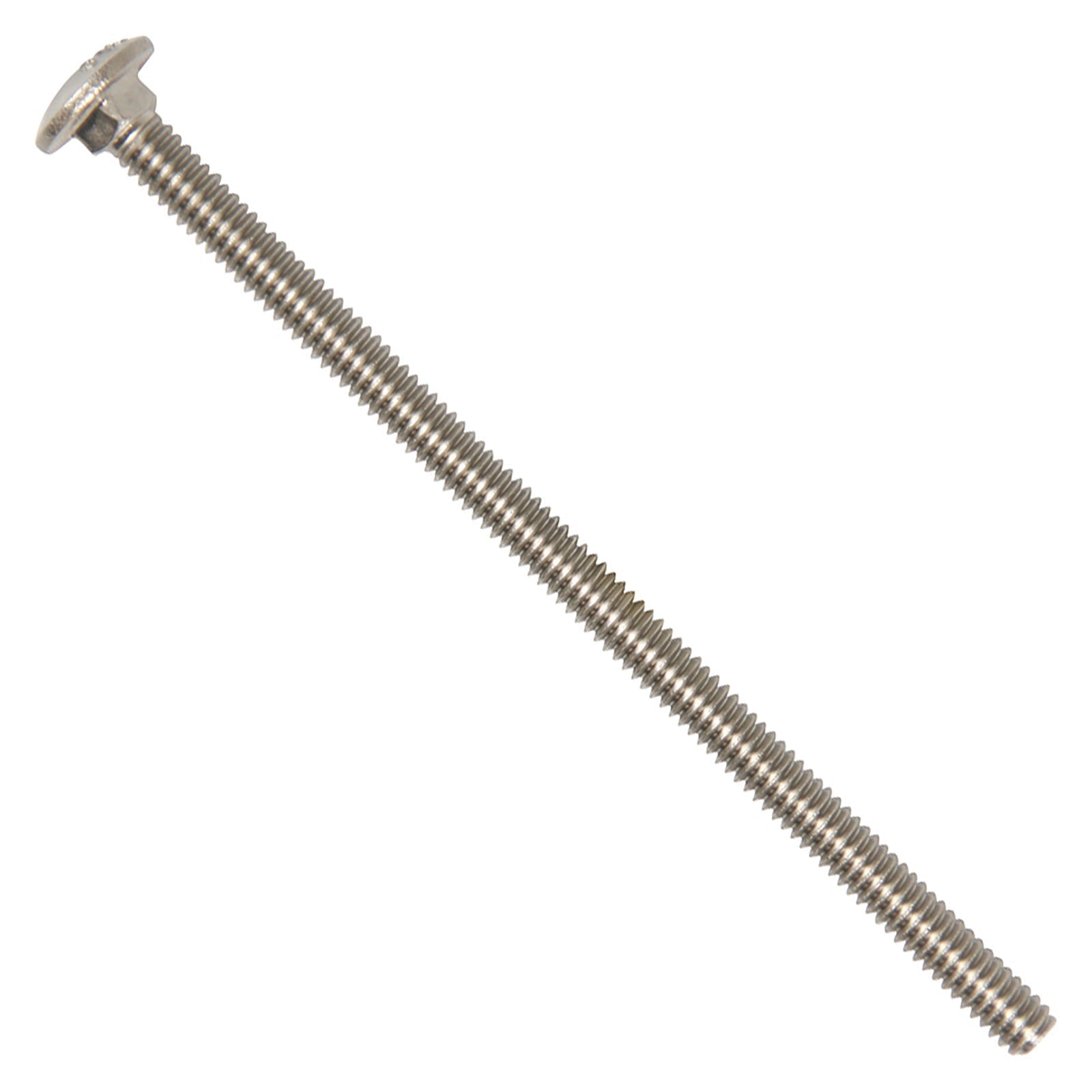 1/4"-20 x 5" Conquest Carriage Bolt - 316 Stainless Steel