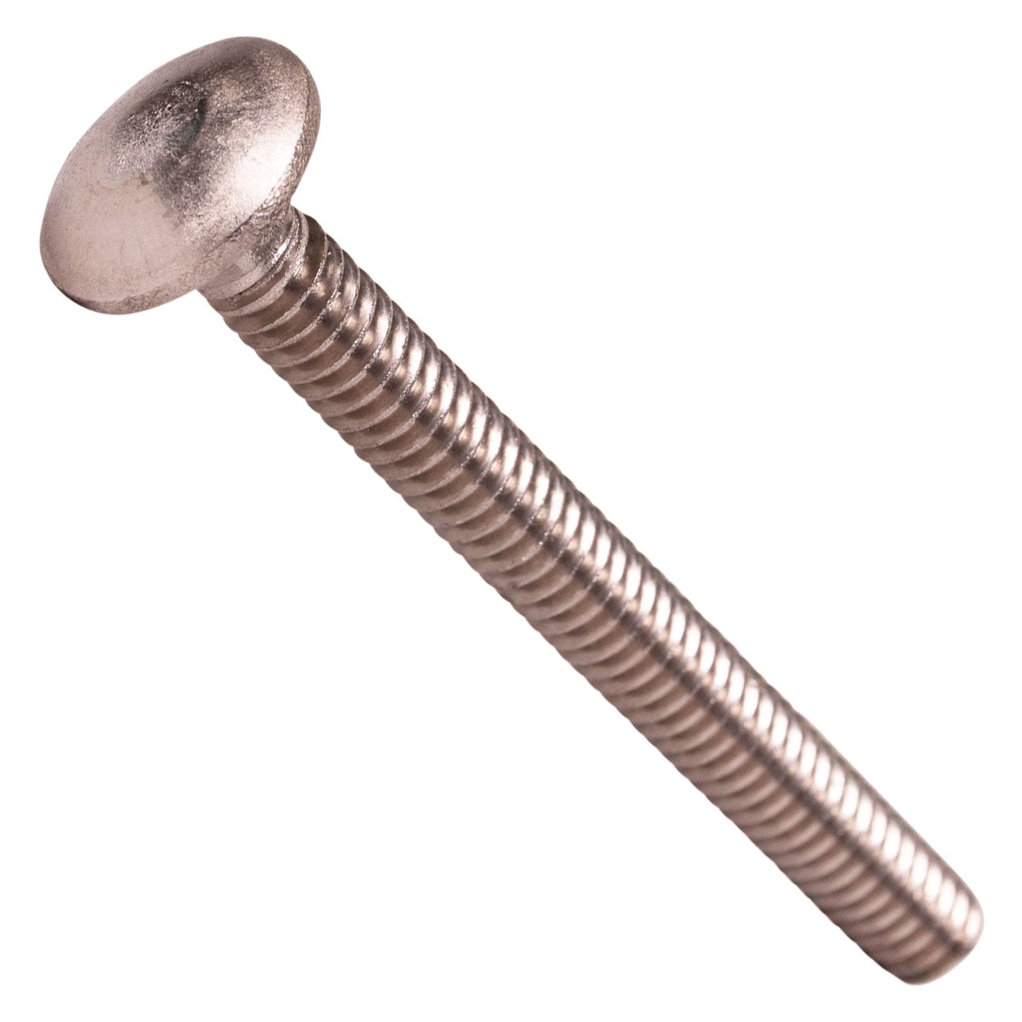 1/4"-20 x 2-1/2" Conquest Carriage Bolt - 304 Stainless Steel