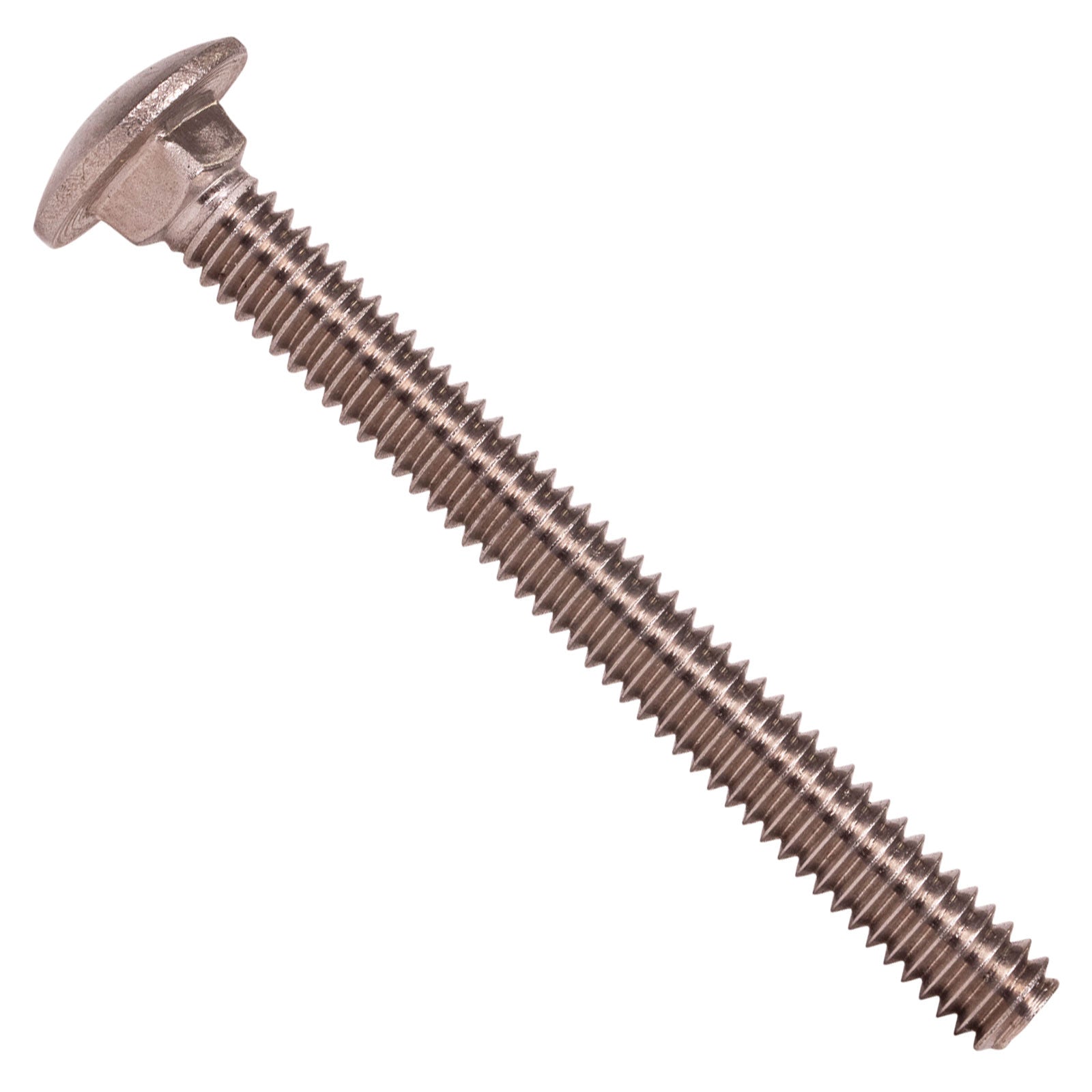1/4"-20 x 2-1/2" Conquest Carriage Bolt - 304 Stainless Steel