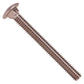 1/4"-20 x 2-1/2" Conquest Carriage Bolt - 304 Stainless Steel