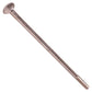 1/4"-20 x 7" Conquest Carriage Bolt - 304 Stainless Steel