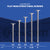 Conquest Structural Screw - T-30 Star Drive - Available Sizes
