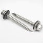 two Daggerz 304 stainless steel hex washer head pole barn screw with epdm washer