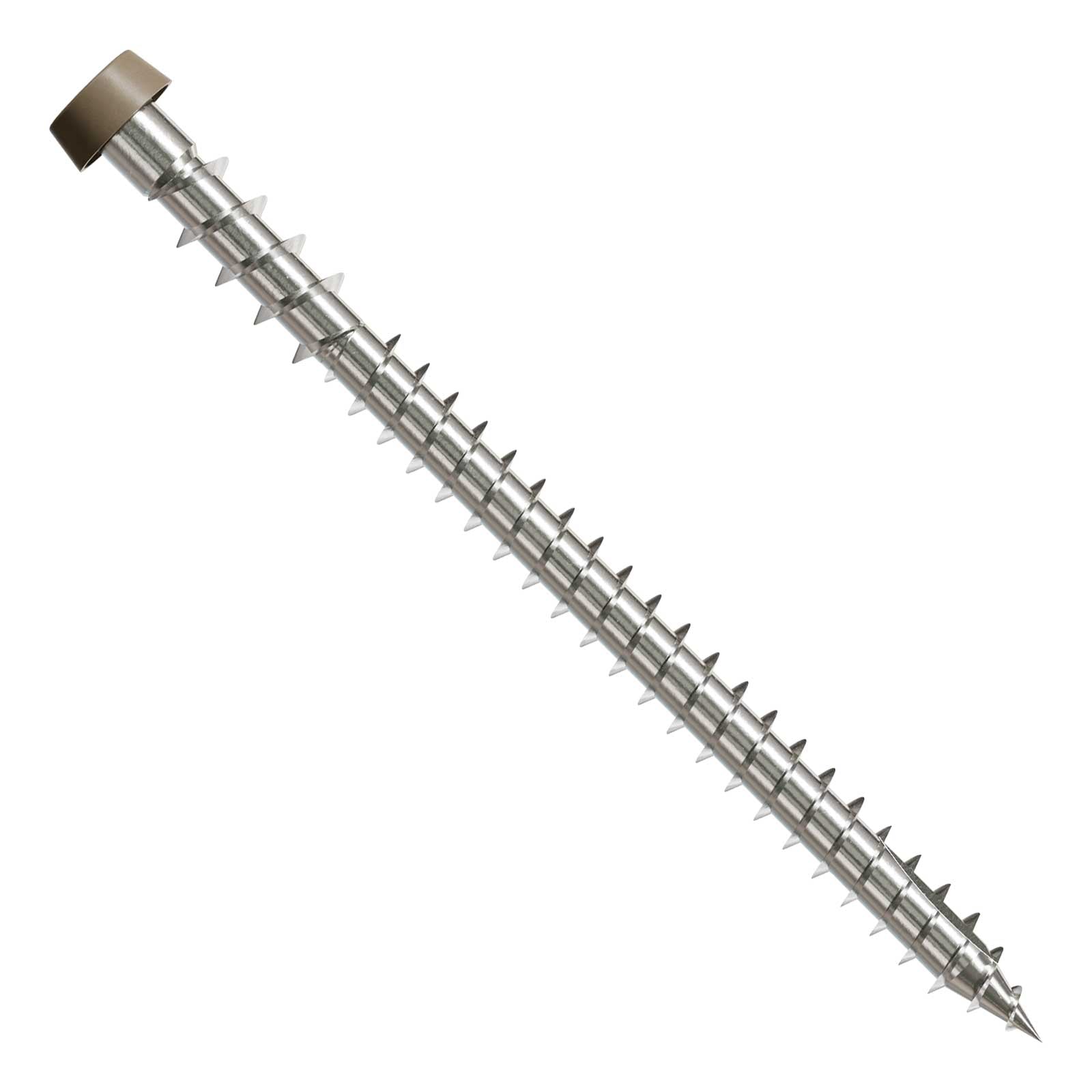 Metal screw with a threaded shaft and brown head on a white background
