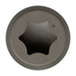 6-lobe star drive - gray