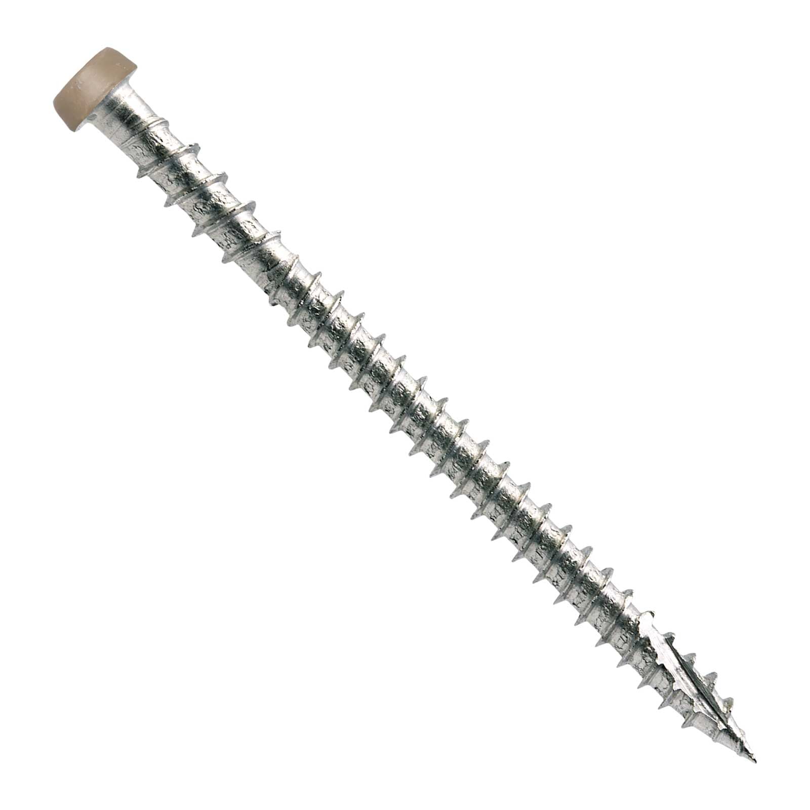 Metal screw with a tan head on a white background