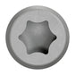 Simpson DCU Composite Decking Screw 6 lobe star drive